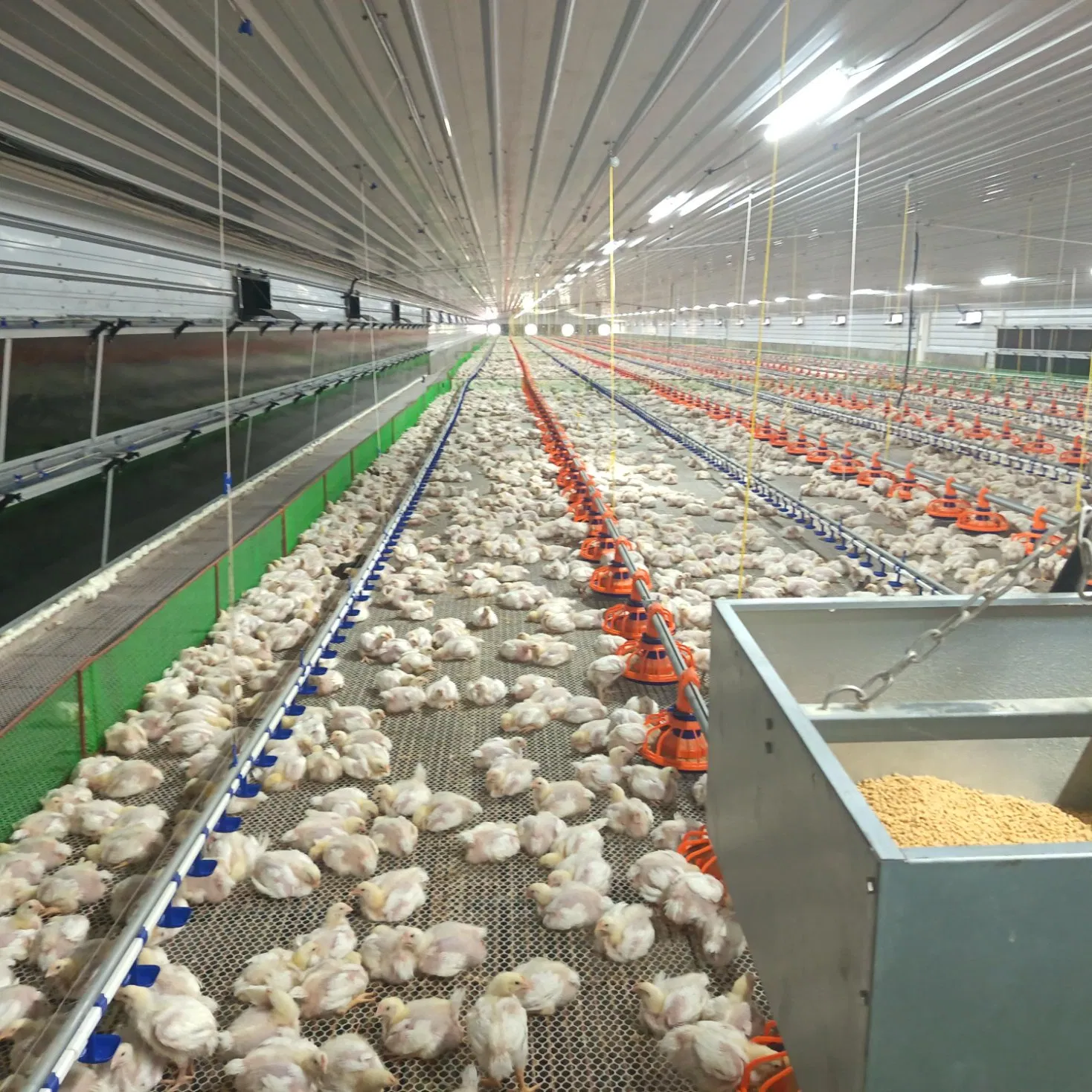 Instalasi kandang ayam otomatis
